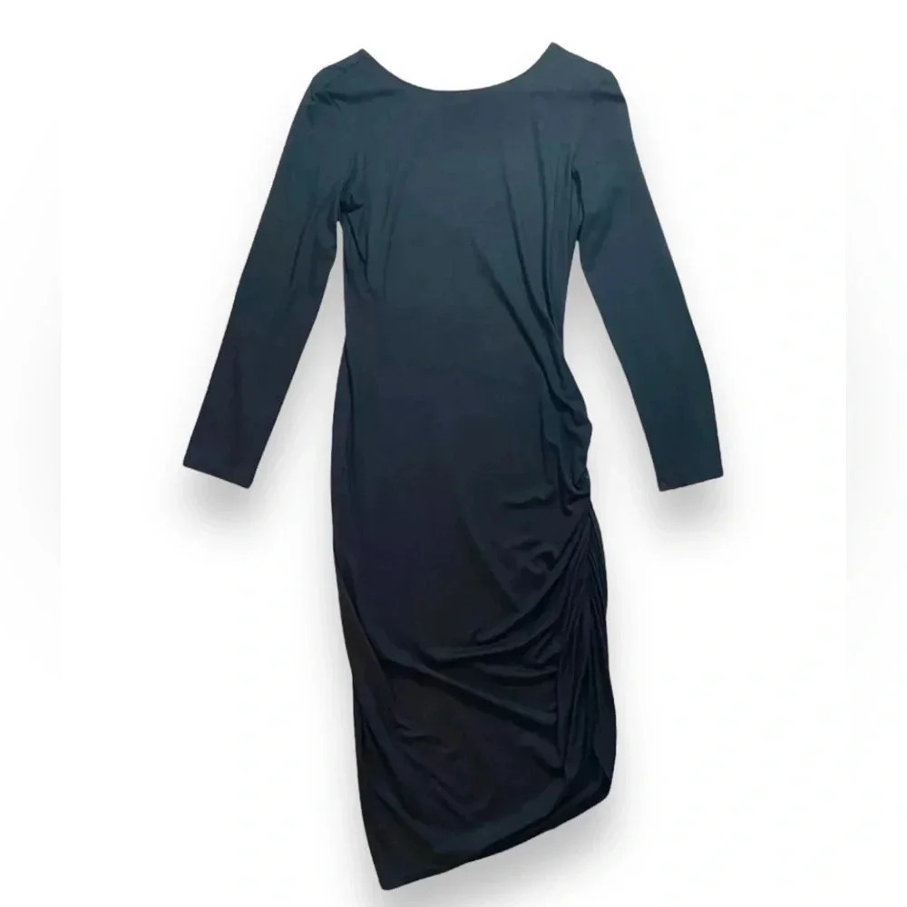 NWT Ava Sky Hawaii Long Sleeve Side Ruched Dress
